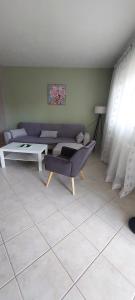 a living room with a couch and a table at Family House Dim in Ioannina