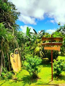 Un jardín fuera de Cabanas Los Colibris Hotel Ecolodge