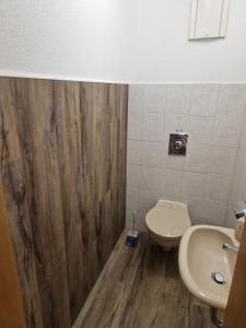Koupelna v ubytování Apartment fewobaerenstein + 20 fotografií