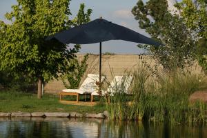 a table and an umbrella next to a pond at Salterra Glamping in Tequisquiapan