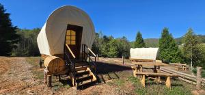 Βραδινή ψυχαγωγία για τους επισκέπτες του Covered Wagons Hill Camp - WAGON 2