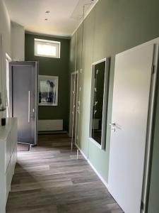 a hallway with green walls and a hallway with doors at SALVIA II exklusiv & smart & Terrasse II Dein City-Apartment in Braunschweig +35 photos