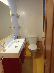 a bathroom with a toilet and a sink and a mirror at Martínez Suite Burgos in Burgos +7 photos