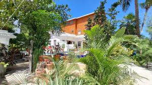 un jardín con árboles y plantas frente a un edificio en Amanda's Place Casita Carinosa - pool and tropical garden, en Caye Caulker