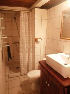 Un baño con inodoro, ducha y lavabo. en Appartement chez l habitant, en Vieux-Habitants