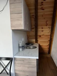 Kuchyň nebo kuchyňský kout v ubytování Pjesnikova Dolina + 36 fotografií