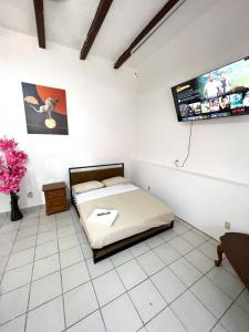 TV a/nebo společenská místnost v ubytování Hotel Cuauhtemoc