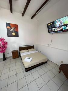 TV a/nebo společenská místnost v ubytování Hotel Cuauhtemoc + 37 fotografií