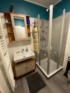ein Badezimmer mit Waschbecken und Dusche in der Unterkunft Studio-Apartment Weimar in Weimar
