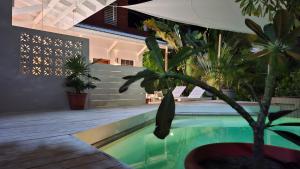 Amanda's Place Yellow Studio - Pool and Tropical garden内部或周边的泳池