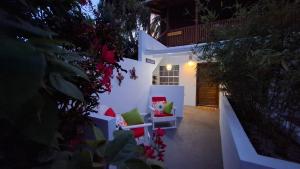 Amanda's Place Yellow Studio - Pool and Tropical garden外面的花园