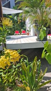 Amanda's Place Yellow Studio - Pool and Tropical garden外面的花园
