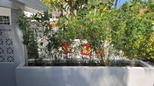 Amanda's Place Yellow Studio - Pool and Tropical garden外面的花园