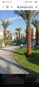 Η γειτονιά γύρω από ή μία γειτονιά κοντά σε αυτό το διαμέρισμα