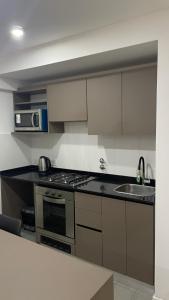 une cuisine avec une cuisinière et un évier dans l'établissement Entre rios 2, à Rosario