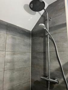 a shower with a shower head in a bathroom at Hof van Balloo in Balloo