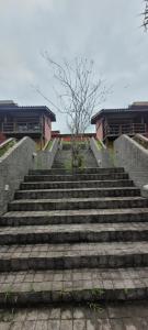 a set of stairs with a tree on top at Pousada Ananda Parivara in Ubatuba