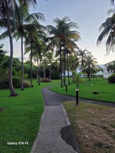 a path in a park with palm trees and grass at Grand studio les pieds dans l'eau! in Saint-François