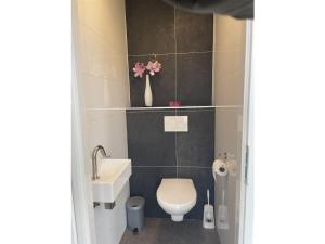 un piccolo bagno con un water e un lavandino di Chalet in Enkhuizen with Swimming Pool a Enkhuizen Altre 16 foto
