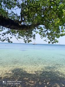 Paesaggio naturale nelle vicinanze dell'appartamento