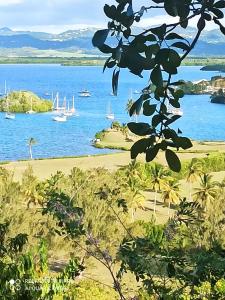 Paesaggio naturale nelle vicinanze dell'appartamento