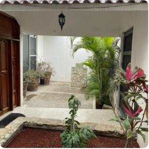 Zahrada ubytování Casa Valle Alto