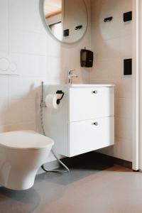 a bathroom with a toilet and a sink and a mirror at Strandis Smokehouse Camping & Resort, Villas in Luoto