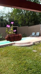 Πισίνα στο ή κοντά στο La Rufina Lodge