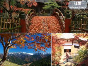 旅馆周边自然景观