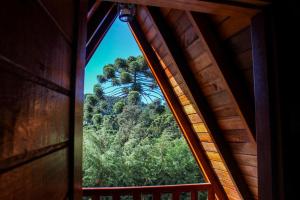 a window in a cabin with a view of a tree at Recanto do Bosque in Campos do Jordão