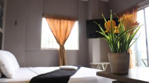 Hotel Simón Plaza房間的床