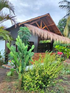 Tangga Bungalows Gili Air外面的花园