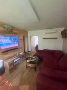TV a/nebo společenská místnost v ubytování 3kk - centrum Havířova