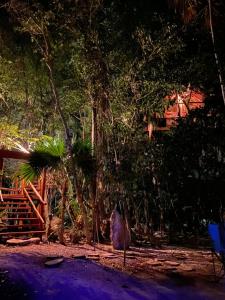 Ein Vogel steht vor Bäumen auf dem Boden. in der Unterkunft Evamayah in Leona Vicario