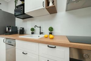 Kuchyň nebo kuchyňský kout v ubytování Stylowy Apartament z Parkingiem Łódź by Noclegi Renters