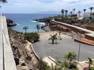 Una vista de una playa con palmeras y el océano. en Playa Paraiso vue océan, en Playa Paraiso