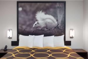 Voodi või voodid majutusasutuse Super 8 by Wyndham Olney toas