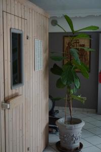 Fotografie z fotogalerie ubytování Hotel Wildrose v destinaci Neukirchen am Großvenediger