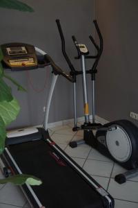 Fitness centrum a/nebo fitness zařízení v ubytování Hotel Wildrose