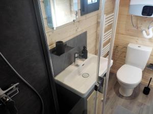 a bathroom with a white sink and a toilet at Au Pied du Merisier in Signy-lʼAbbaye