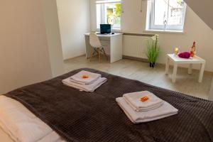 Postel nebo postele na pokoji v ubytování Apartamenty Zieleniec-Julia 3
