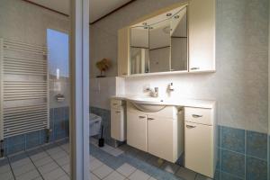 a bathroom with a sink and a mirror at Drents Genieten - Grasheide met Wellness in Erm +22 photos