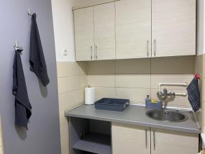 Η κουζίνα ή μικρή κουζίνα στο Apartman Lea