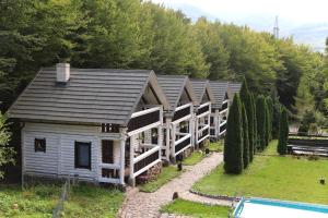 a house with a swimming pool in front of it at База відпочинку Forest Stream in Svalyava