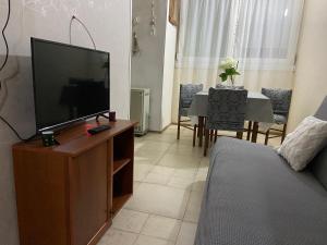 Μια τηλεόραση ή/και κέντρο ψυχαγωγίας στο Apartman Lea