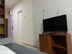 Μια τηλεόραση ή/και κέντρο ψυχαγωγίας στο Apartman Lea