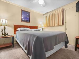 Postel nebo postele na pokoji v ubytování ML155 First Floor No Elevator Or Steps WiFi EZ Parking Slope Side