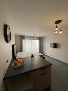Η κουζίνα ή μικρή κουζίνα στο Superbe studio avec terrasse