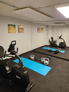 Academia e/ou comodidades em Studiohouse Frankfurt