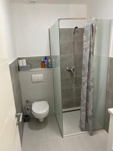 a bathroom with a toilet and a glass shower at Luxury Pyramid Apartment Visoko in Visoko +12 photos